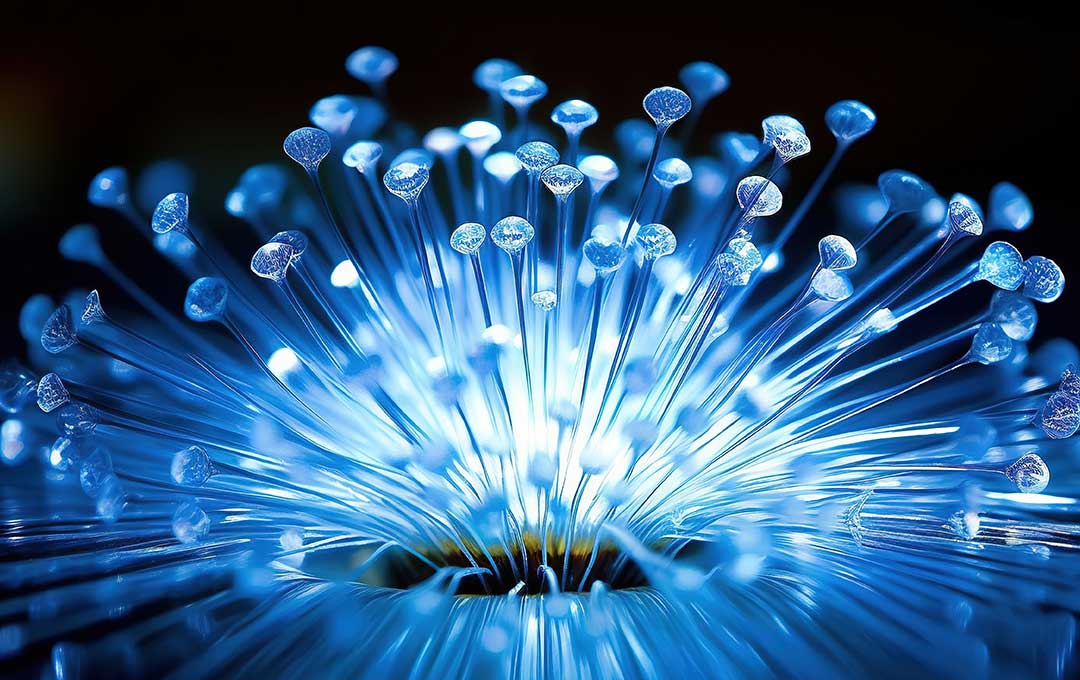 Fiber optics