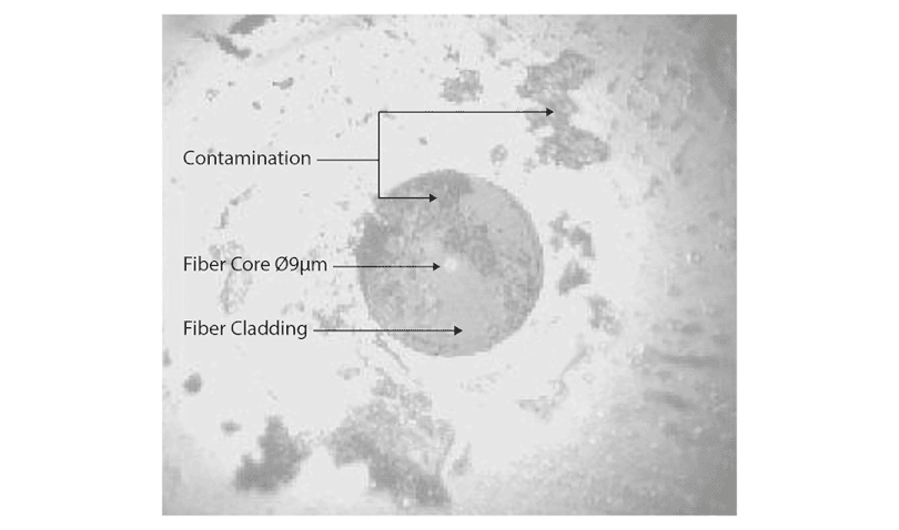 View on a physical contact termini end-face at 200x magnification showing typical contamination from dust and oily deposits.